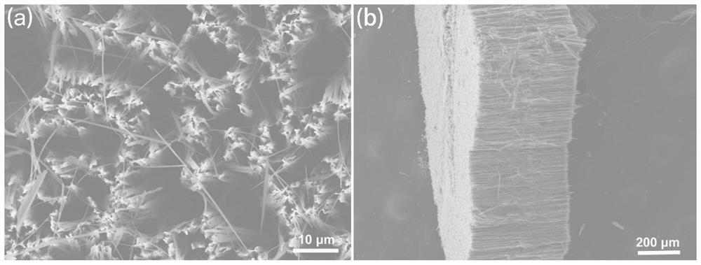 A single silicon nanowire fluorescent chemical sensor for detecting hypochlorite and its preparation method and application