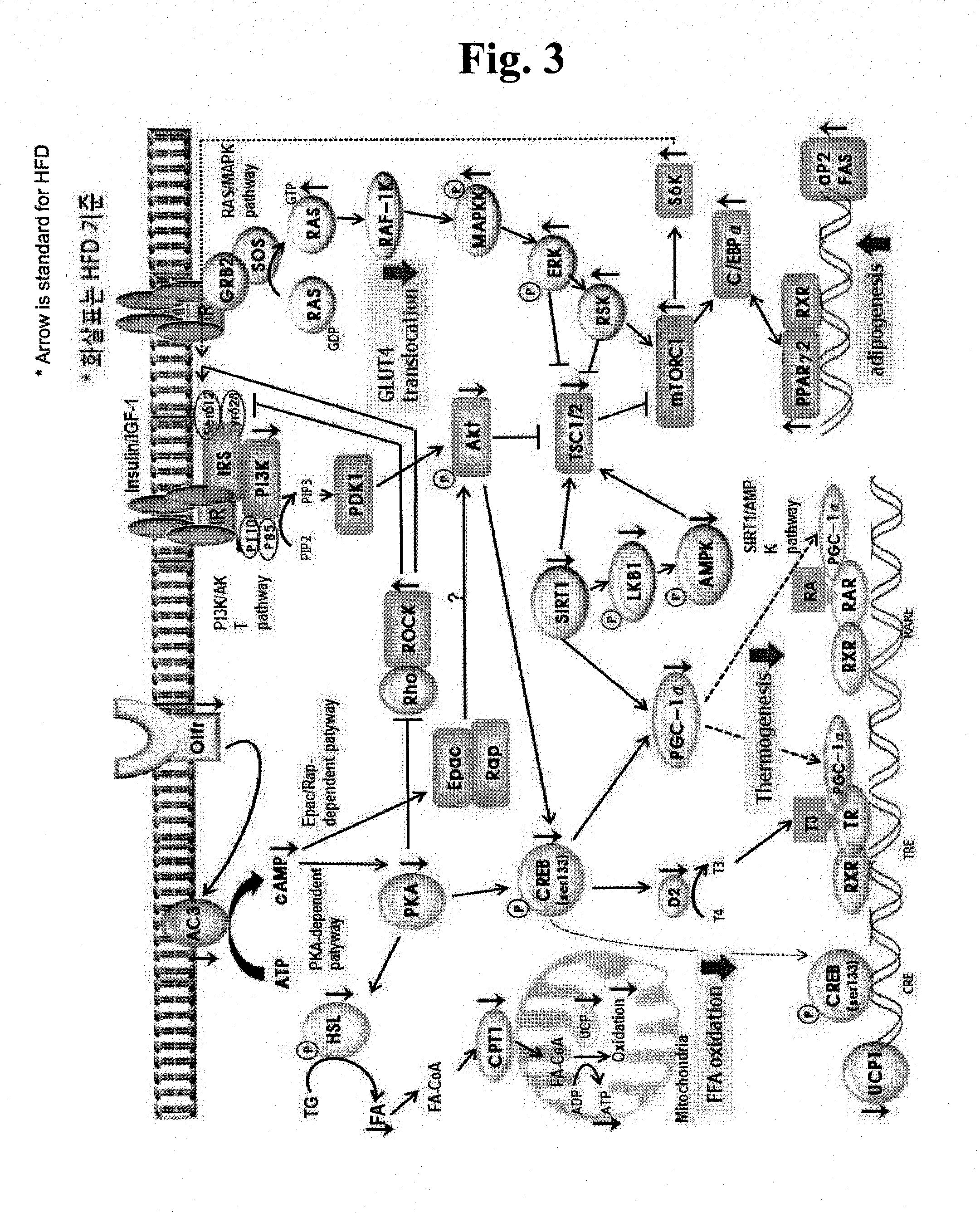 Metabolic diseases-related odorant receptor genes and use thereof