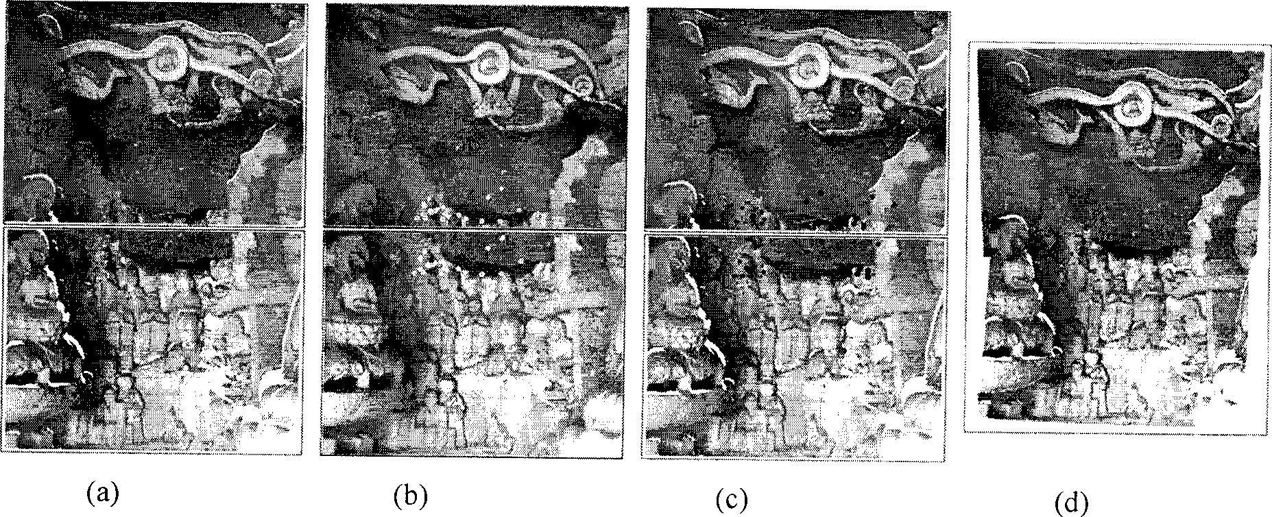 Depth image autoegistration method combined with texture information
