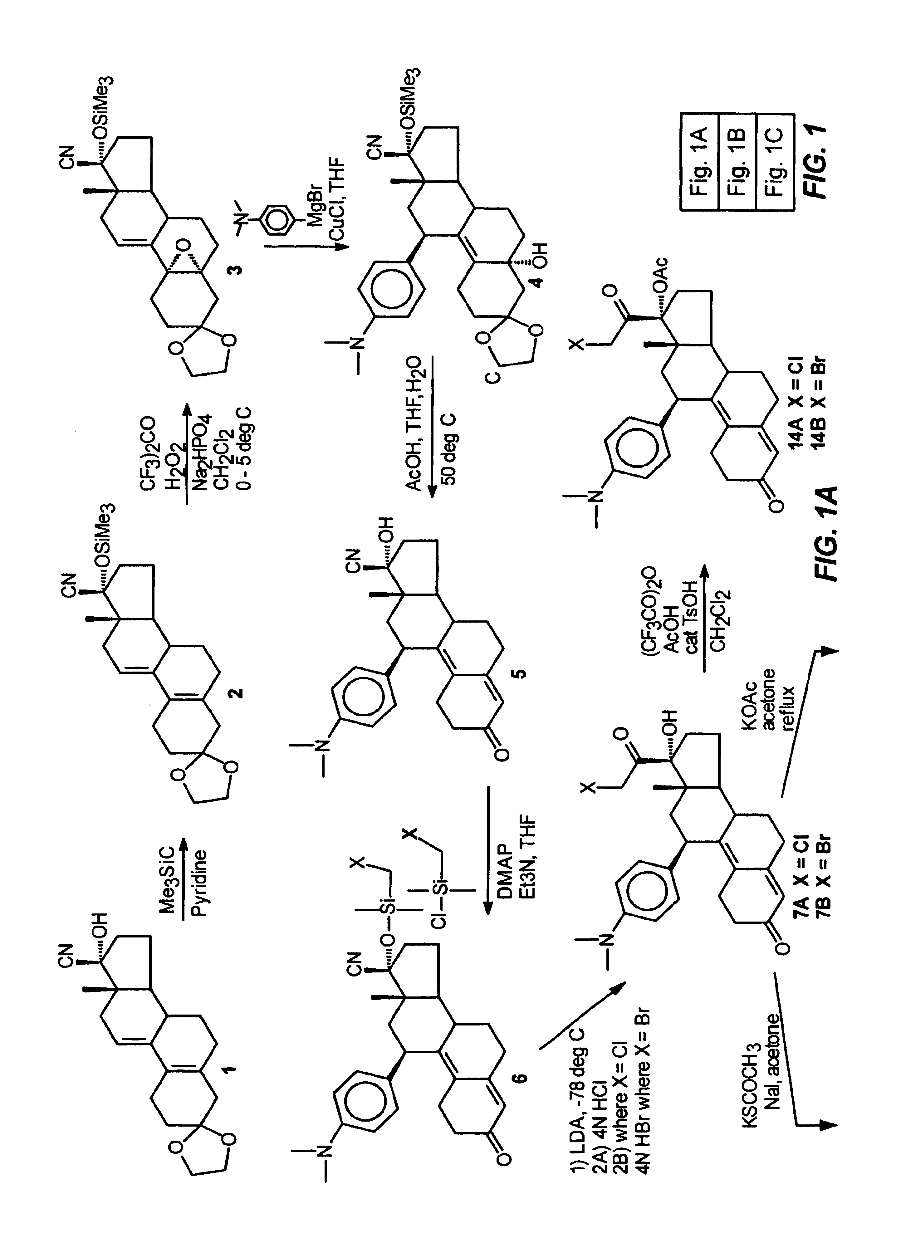 Structural modification of 19-norprogesterone I: 17-α-substituted-11-β-substituted-4-aryl and 21-substituted 19-norpregnadienedione as new antiprogestational agents