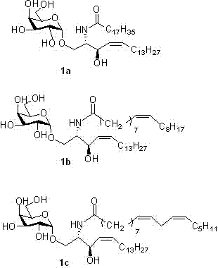 New isomer of α-galactosylceramide and its synthesis method