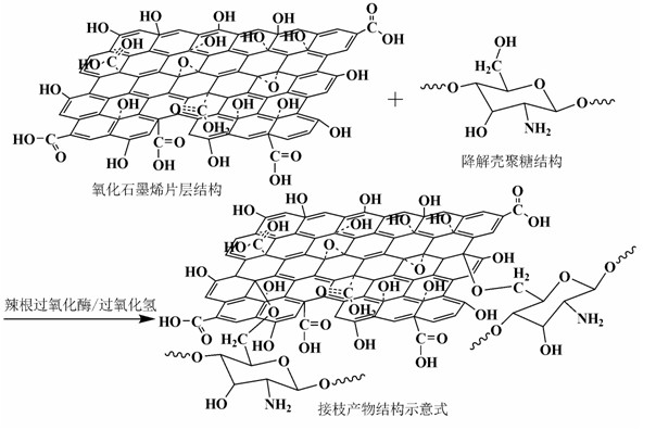Preparation method of chitosan modified graphite oxide functional leather tanning agent