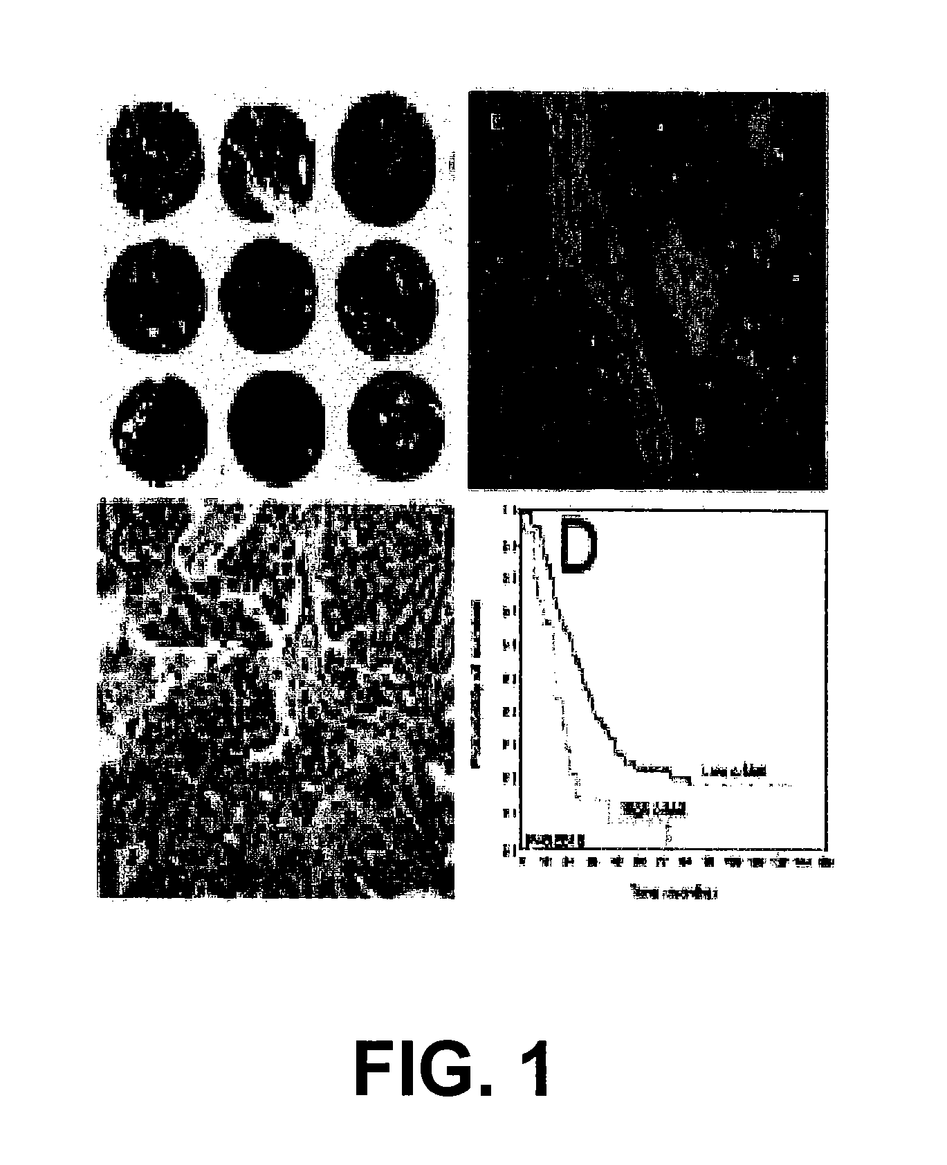 Receptor-mediated delivery: compositions and methods