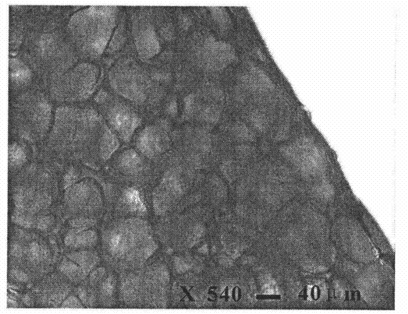 High foaming-ratio and high-density polyethylene microporous foaming section bar and its preparation method