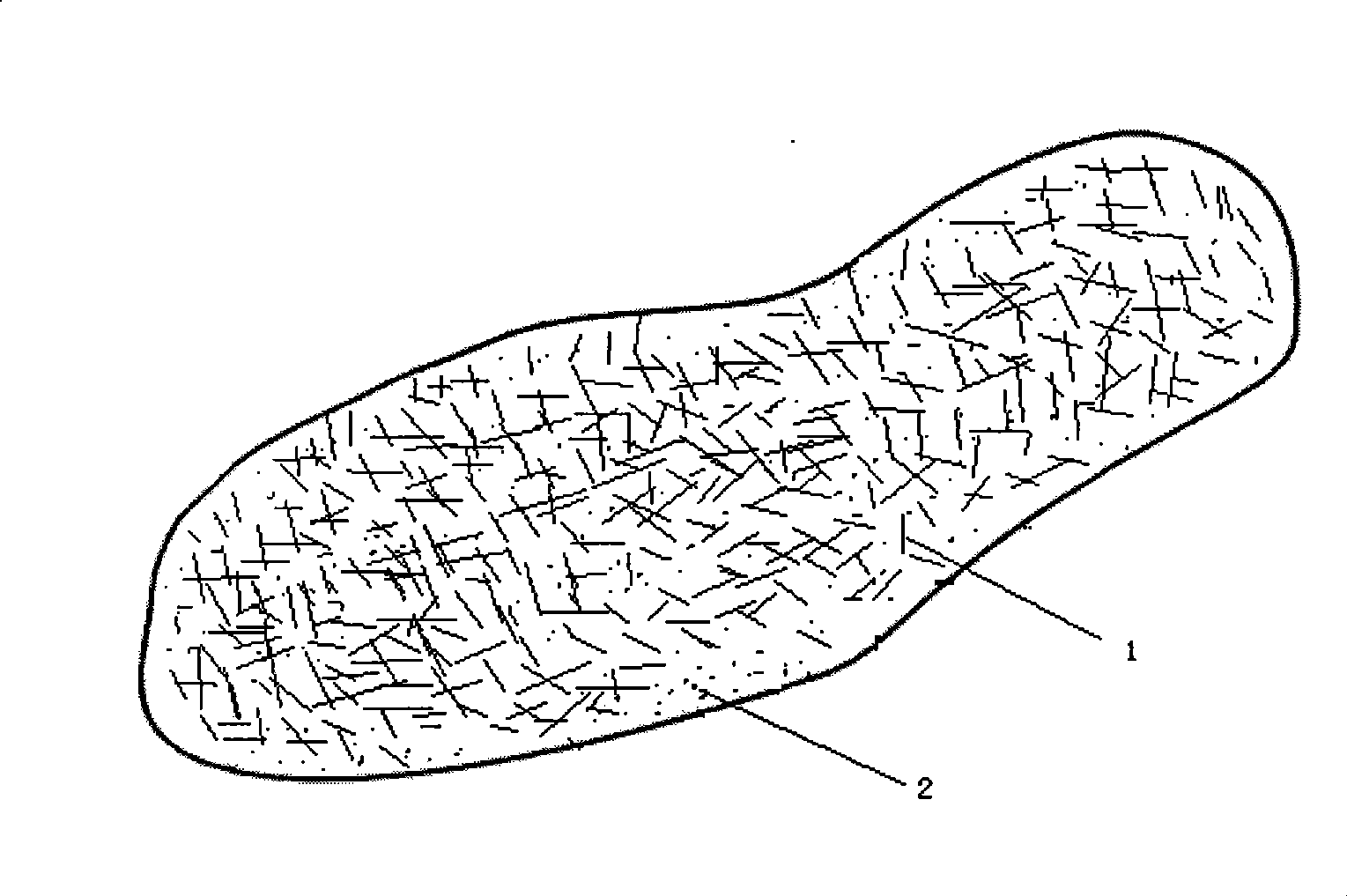 Shoes with antibiotic antistatic/conductive function and method for producing the same