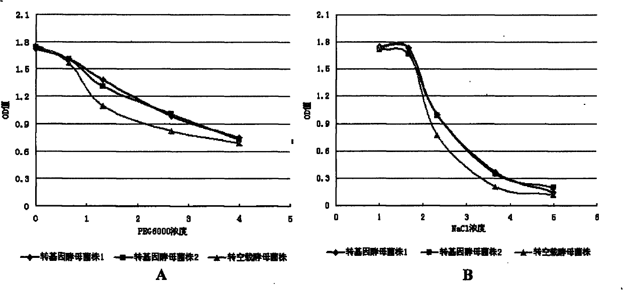 Three cotton ABF/AREB/ABI5/DPBF type transcription factors and coding genes and application thereof