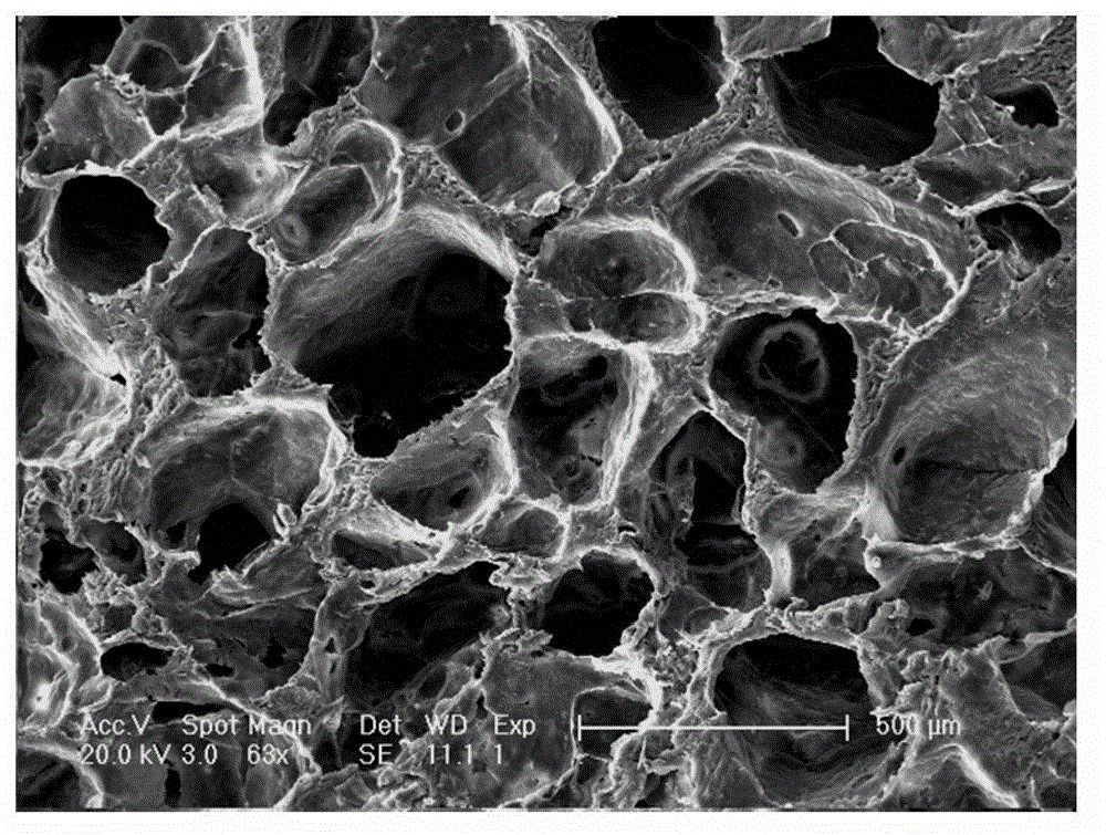 A preparation method of tissue engineering scaffold material