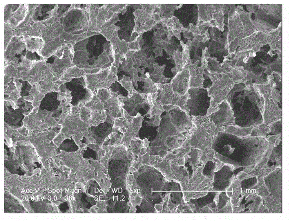 A preparation method of tissue engineering scaffold material