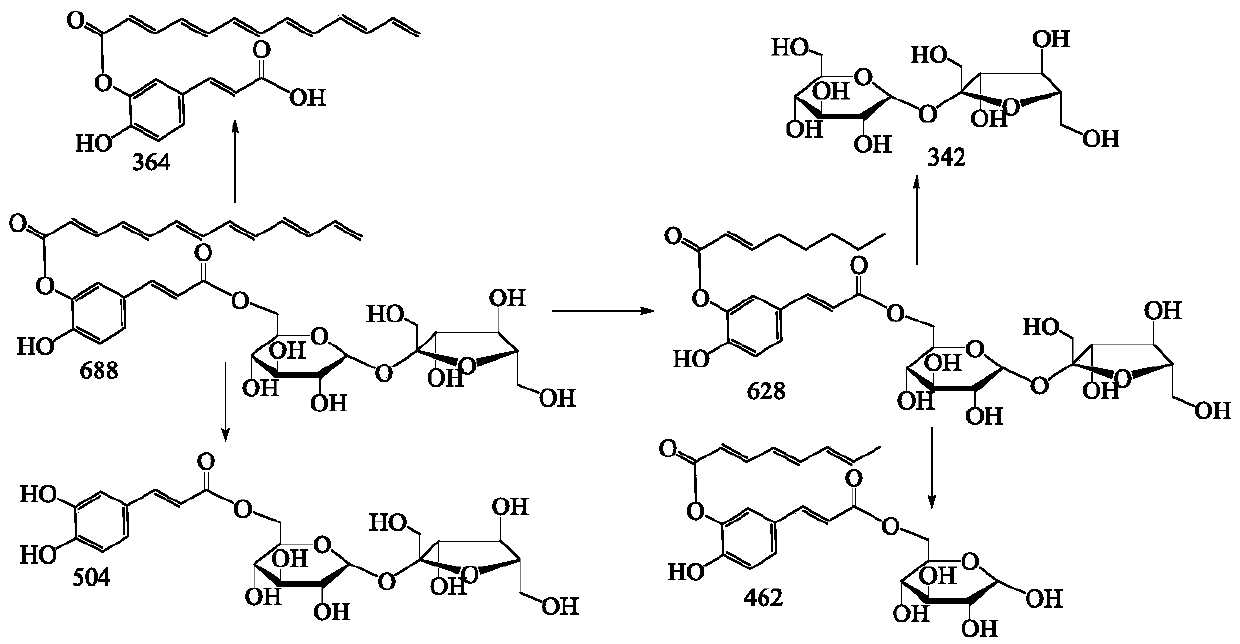 Aqueous extract powder of fresh celery leaves, preparation thereof and vasodilation effect and application of aqueous extract powder of fresh celery leaves