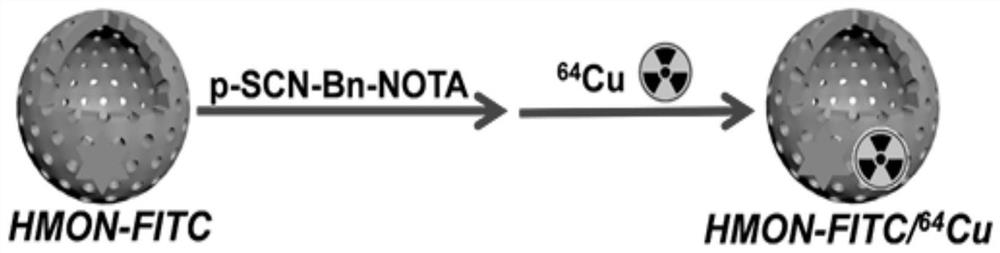 Fluorescent/PET bimodal image probe and preparation method and application thereof