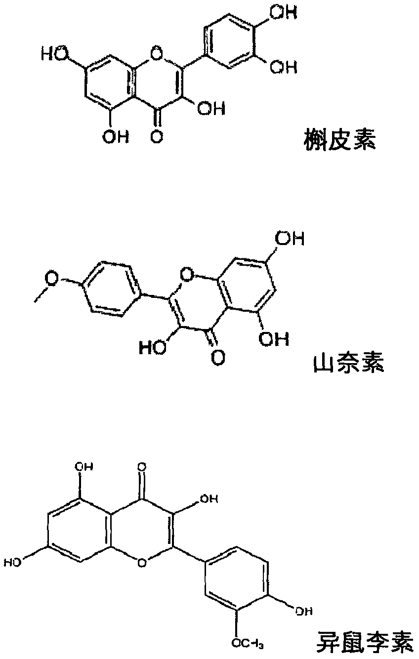 A sublingual tablet of ginkgo total flavonoids and preparation method thereof