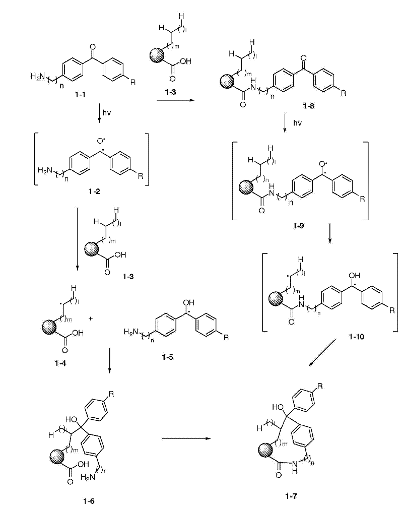 Compositions and methods for functionalizing or crosslinking ligands on nanoparticle surfaces