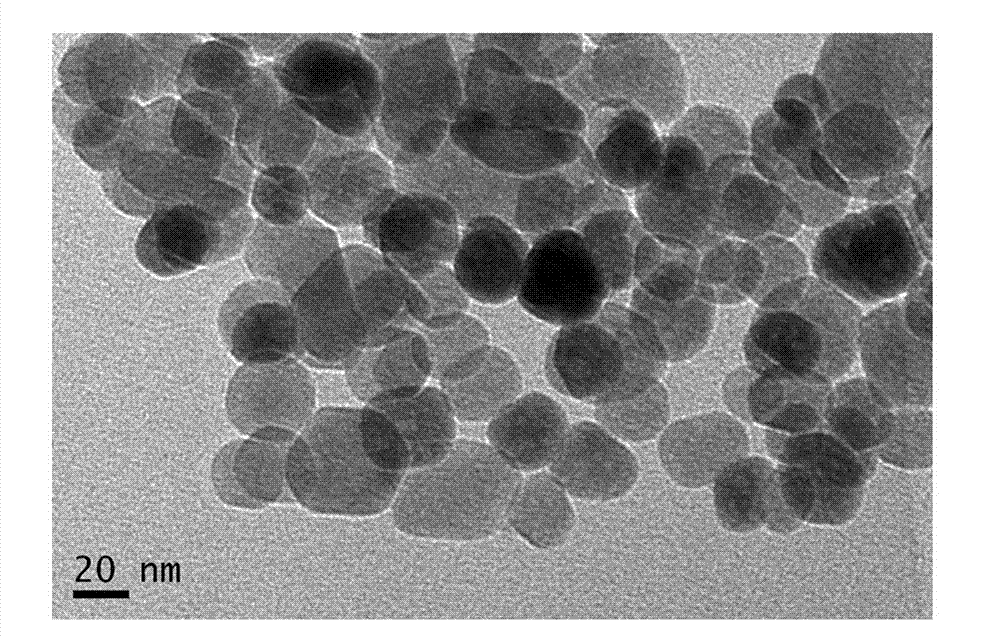 Method for preparing rapamycin/magnetic carboxymethyl chitosan nano drug-loaded microspheres
