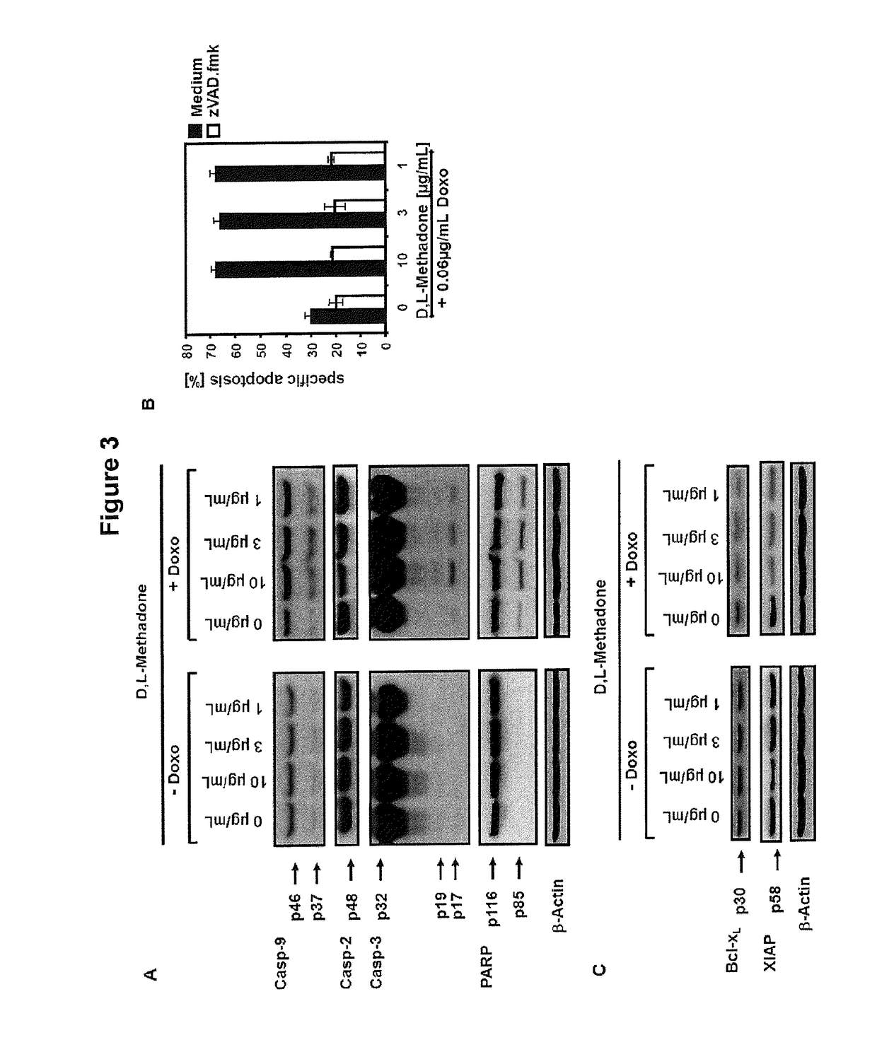 Combination of opioids and anticancer drugs for cancer treatment