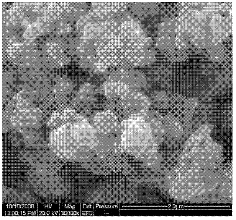 Preparation method for polyaniline/ferroferric oxide compound with nucleus-shell structure
