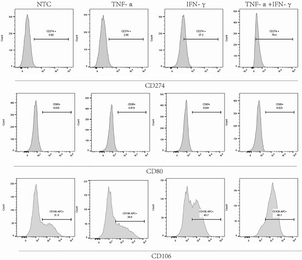 Mesenchymal stem cell population with high expression of CD106 and/or reduced expression of CD142 as well as preparation method and application of mesenchymal stem cell population
