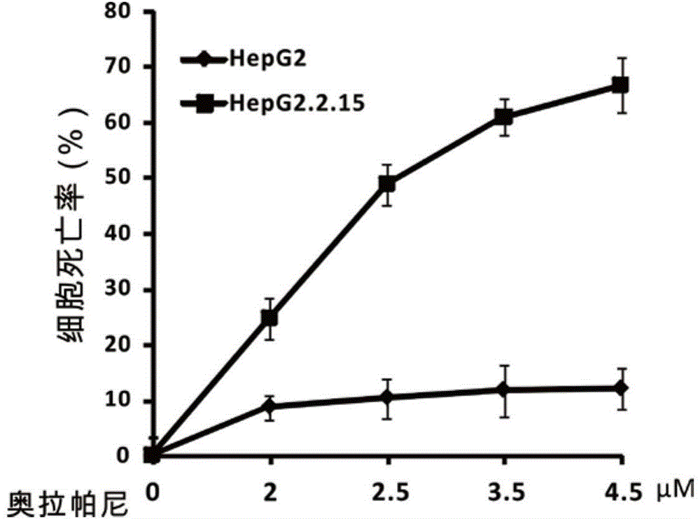New application of multi-poly ADP RNA polymerase inhibitor in treating HBV-related diseases