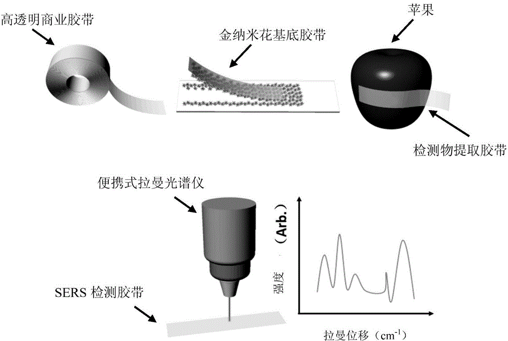 Surface reinforced Raman scattering detection adhesive tape and preparation method and application thereof