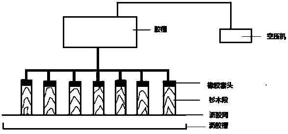 Processing method for manufacturing imitated cupressus funebris material by utilizing Chinese fir