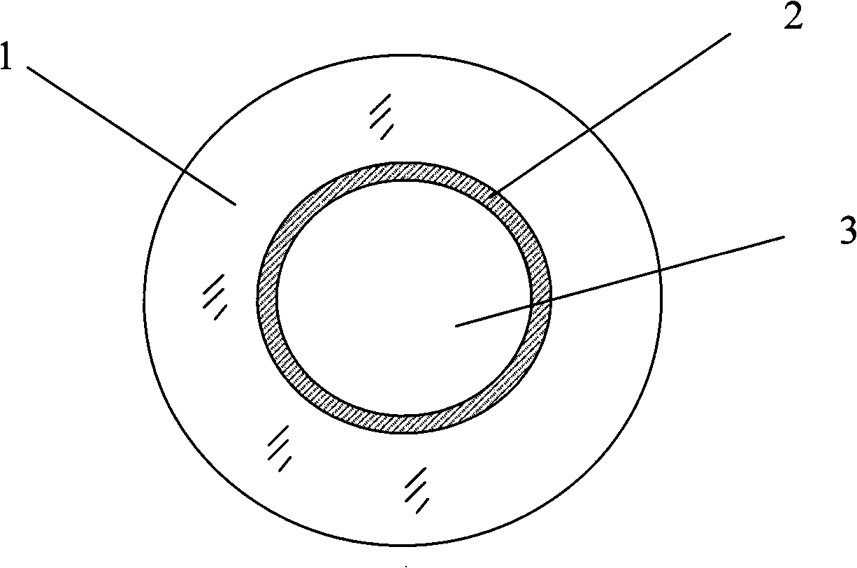 Capillary pipe optical fibre light forceps and its manufacture method