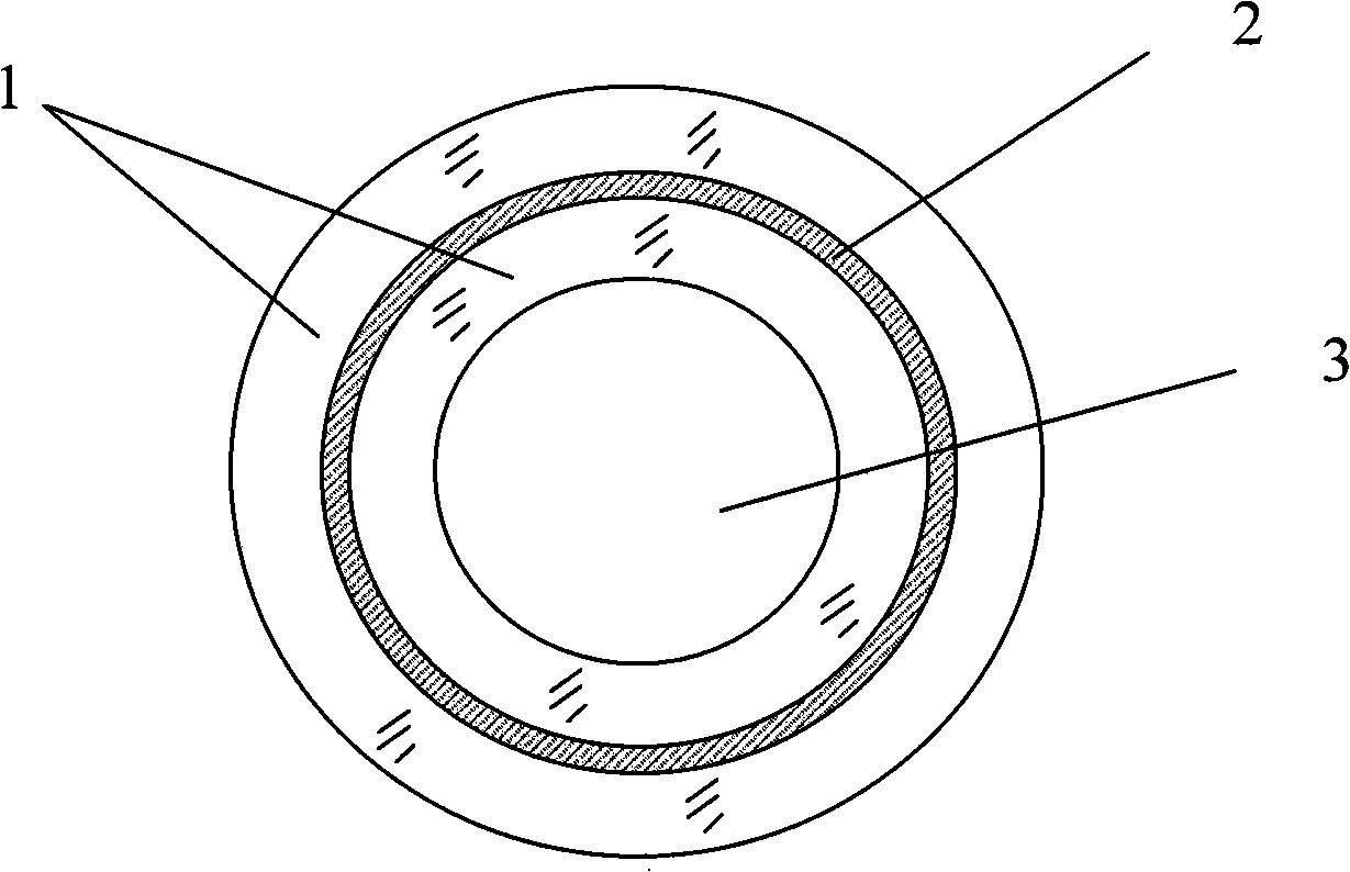 Capillary pipe optical fibre light forceps and its manufacture method