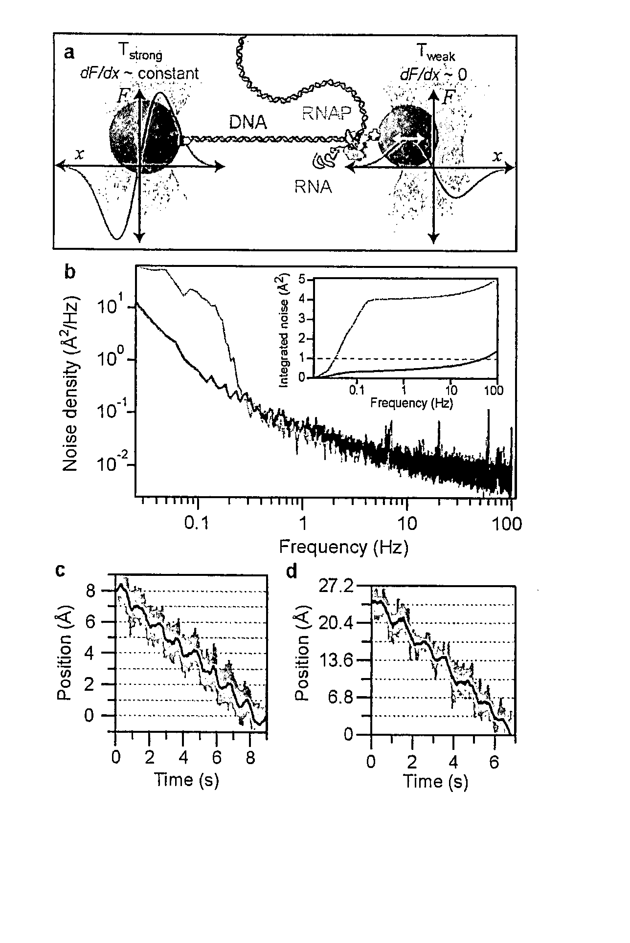 Motion resolved molecular sequencing