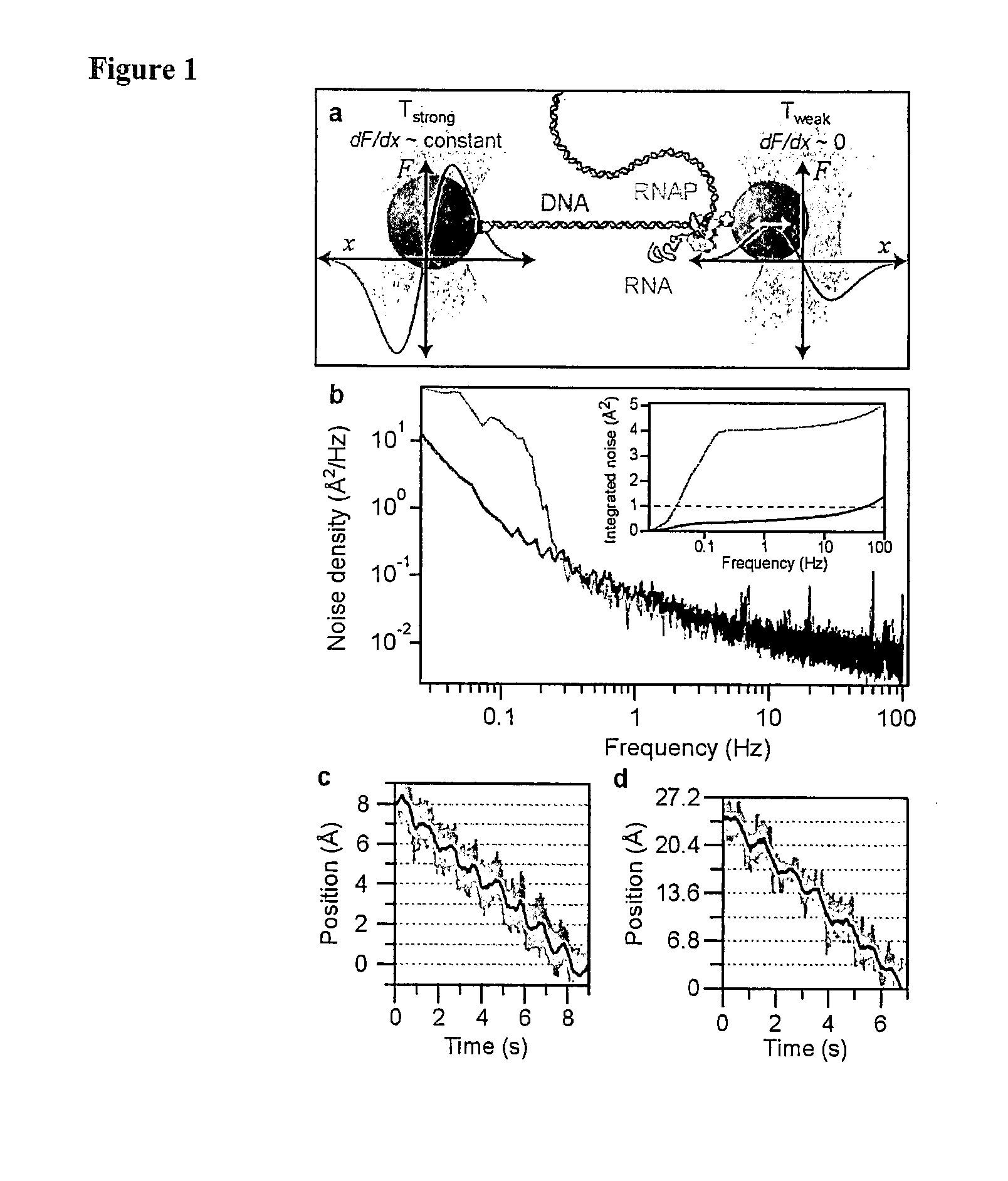 Motion resolved molecular sequencing