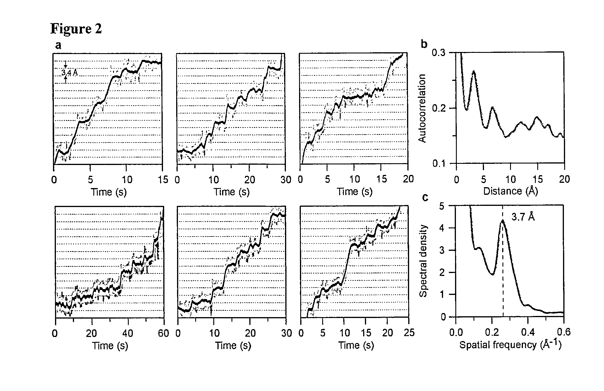 Motion resolved molecular sequencing