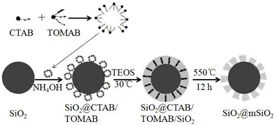 A kind of method for preparing mesoporous silica core-shell microspheres