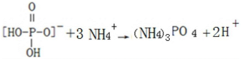 A kind of production method for preparing special fertilizer for ammonium phosphate by-product red peony