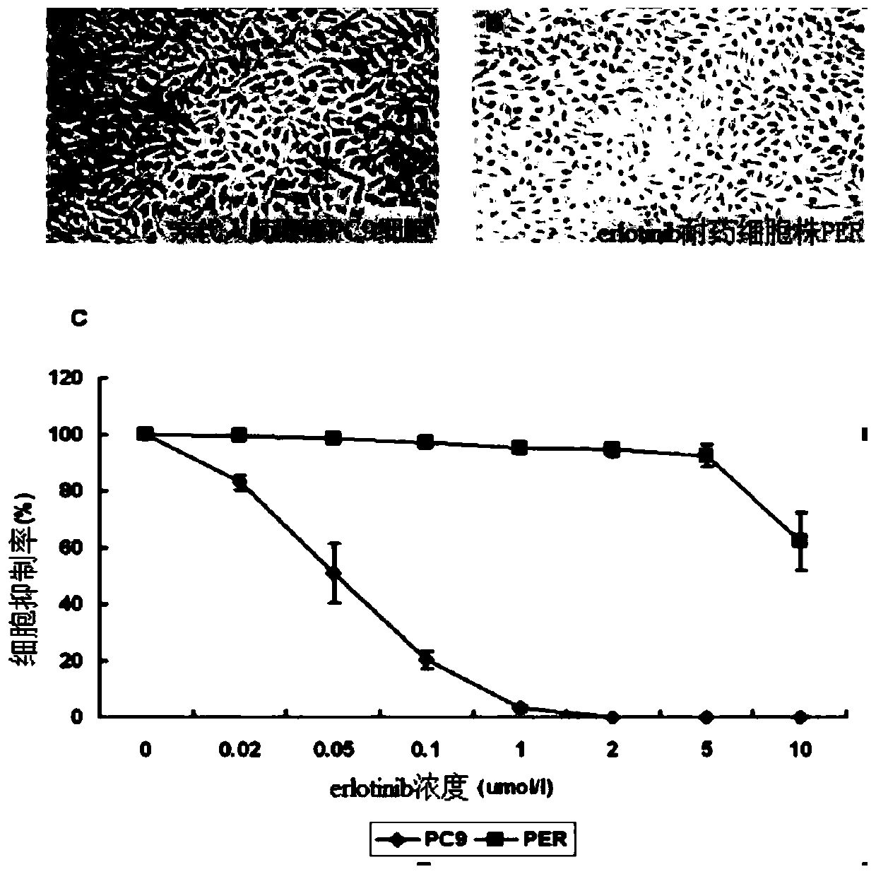 Method and application of autophagy inhibitor for overcoming drug resistance in treatment of lung cancer