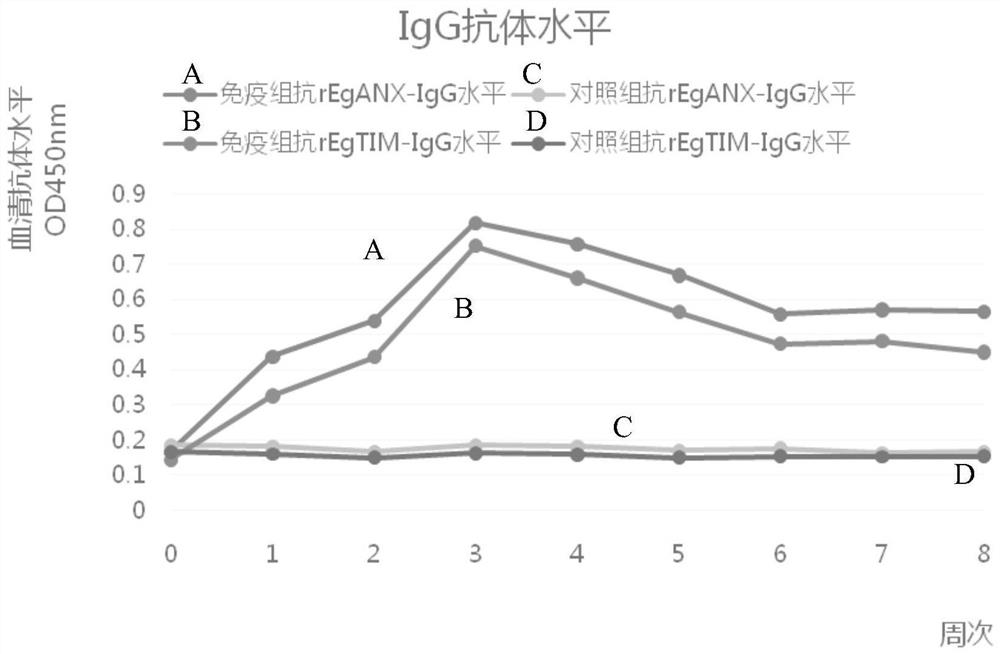 A kind of combination protein and its application