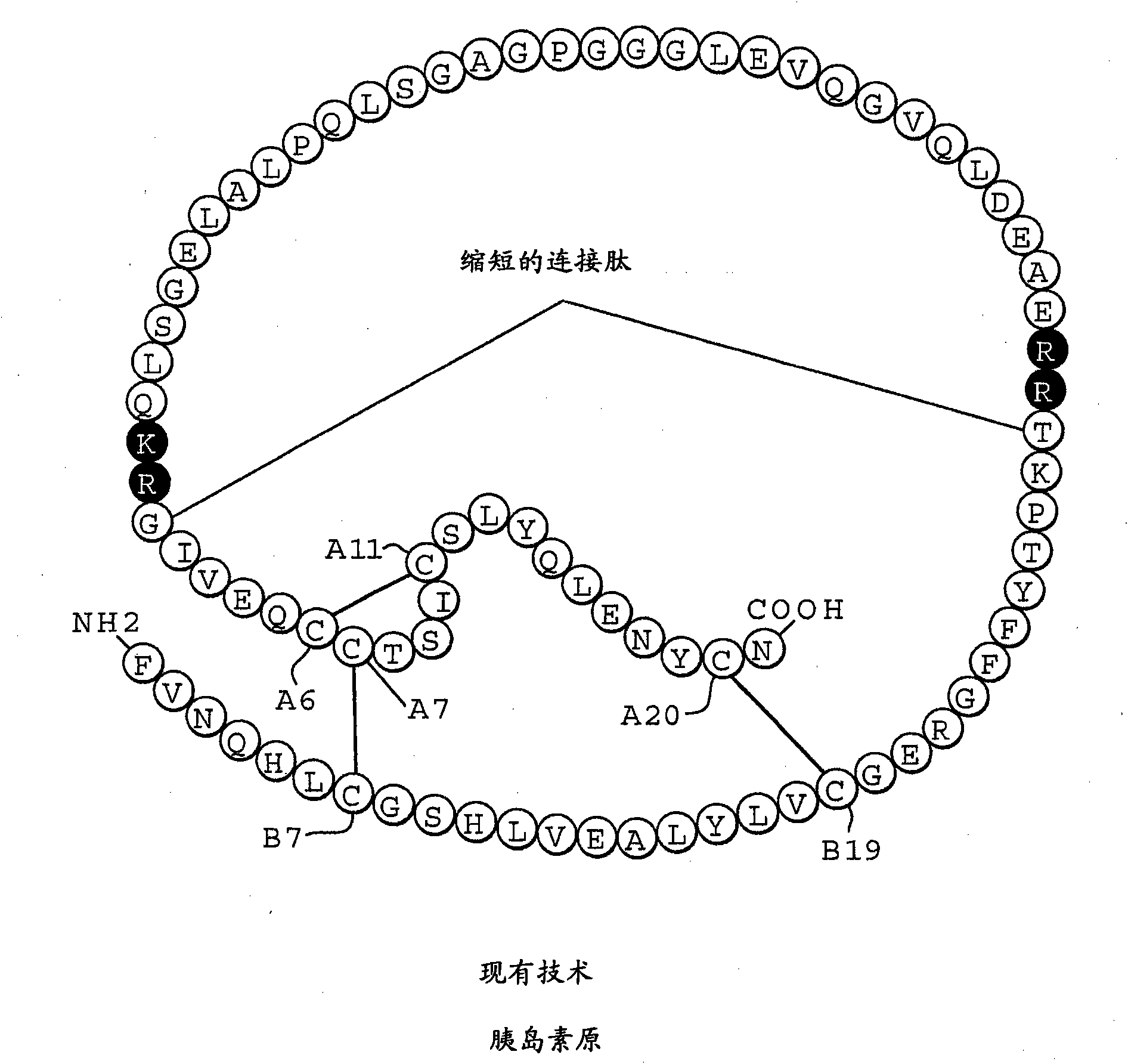 Isoform-specific insulin analogues