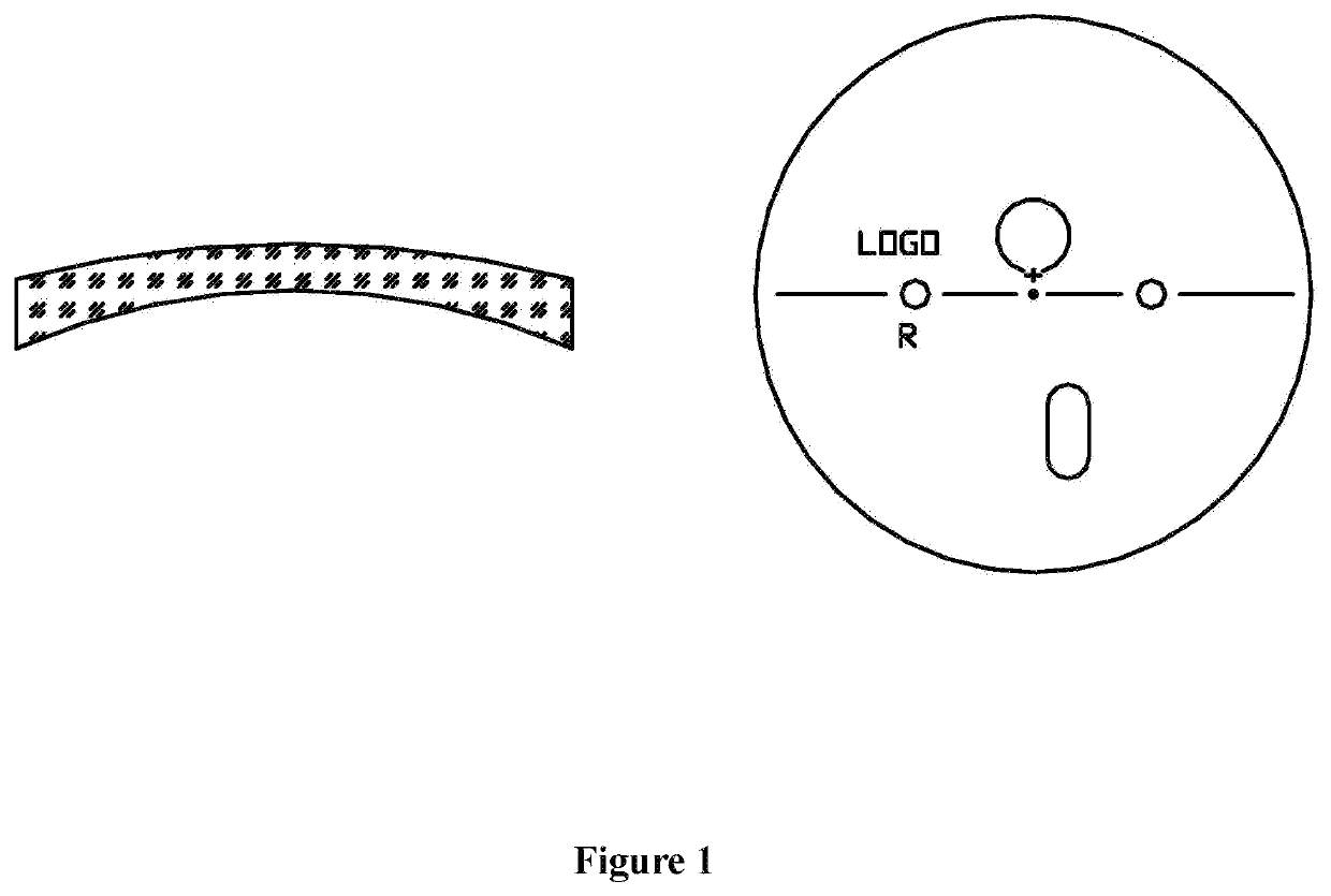 Revolving drum type digital lens printing device