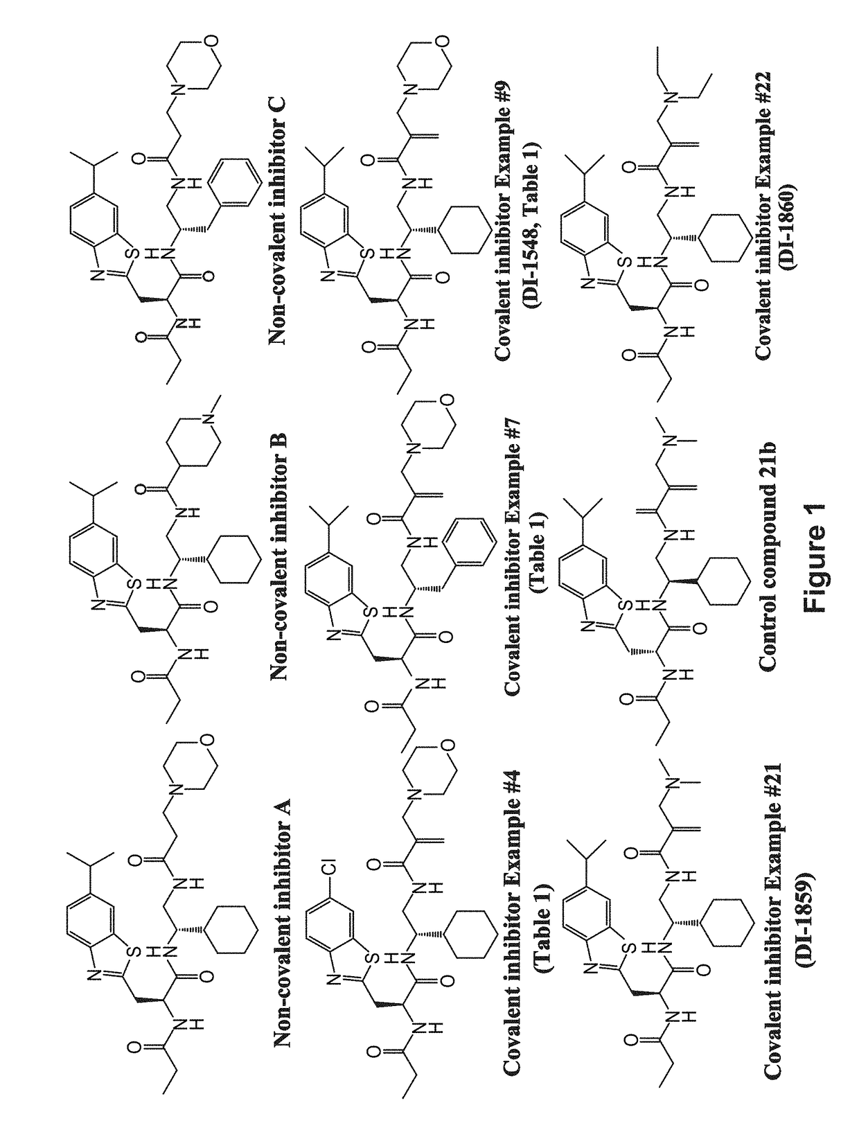 Covalent Small Molecule DCN1 Inhibitors and Therapeutic Methods Using the Same