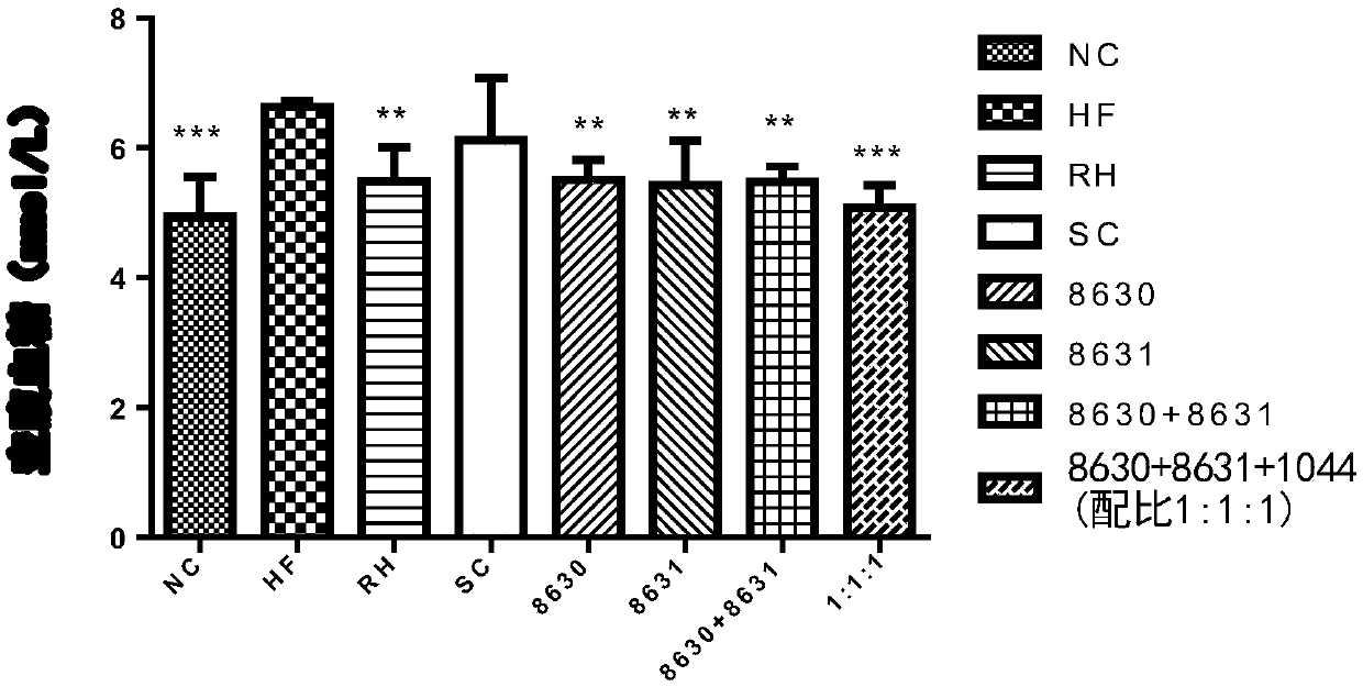 Probiotic composition and application thereof