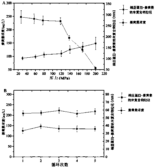 Pea protein-curcumin nano-composite, and preparation method and application thereof