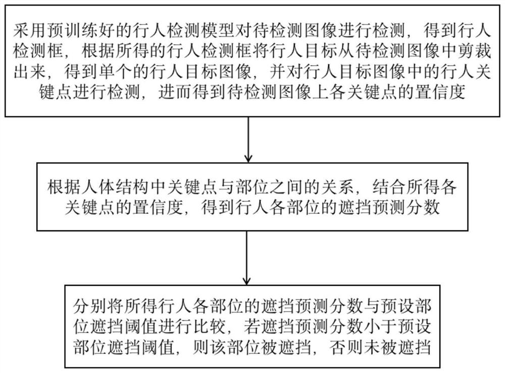 Pedestrian occlusion and orientation detection method