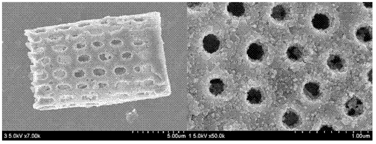 Method for preparation of ZnO/diatomite nanoscale composite material by layer-by-layer self-assembly