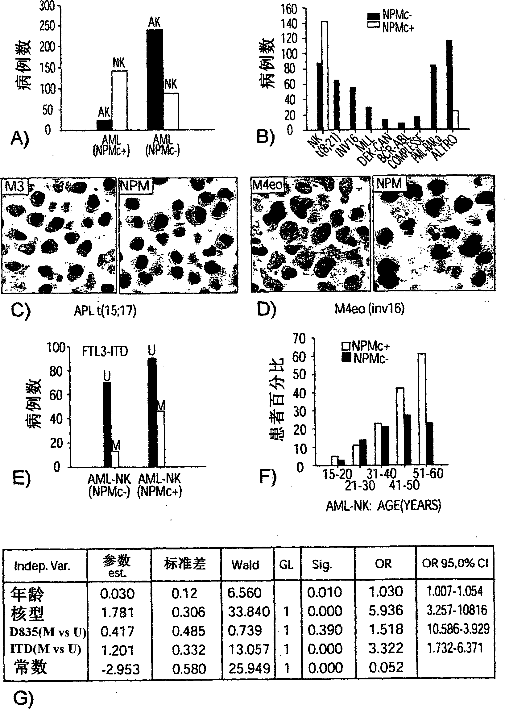 Nucleophosmin protein (npm) mutants, corresponding gene sequences and uses thereof