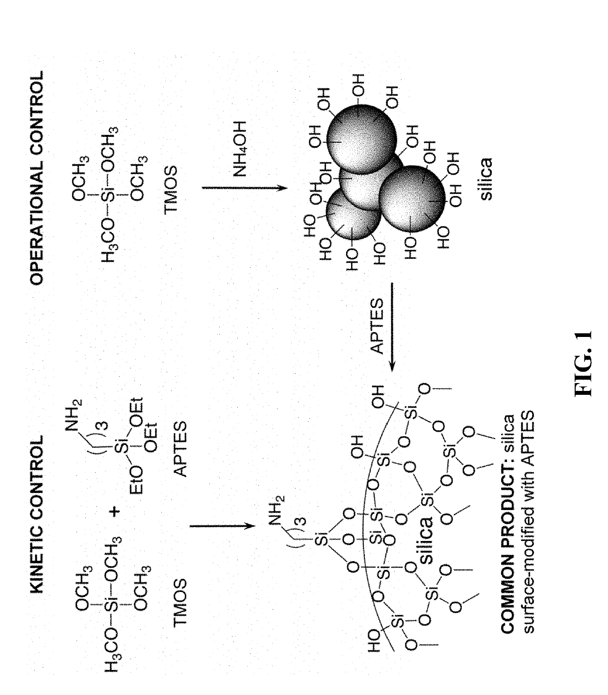 Novel highly porous ceramic and metal aerogels from xerogel powder precursors, and methods for their production and use