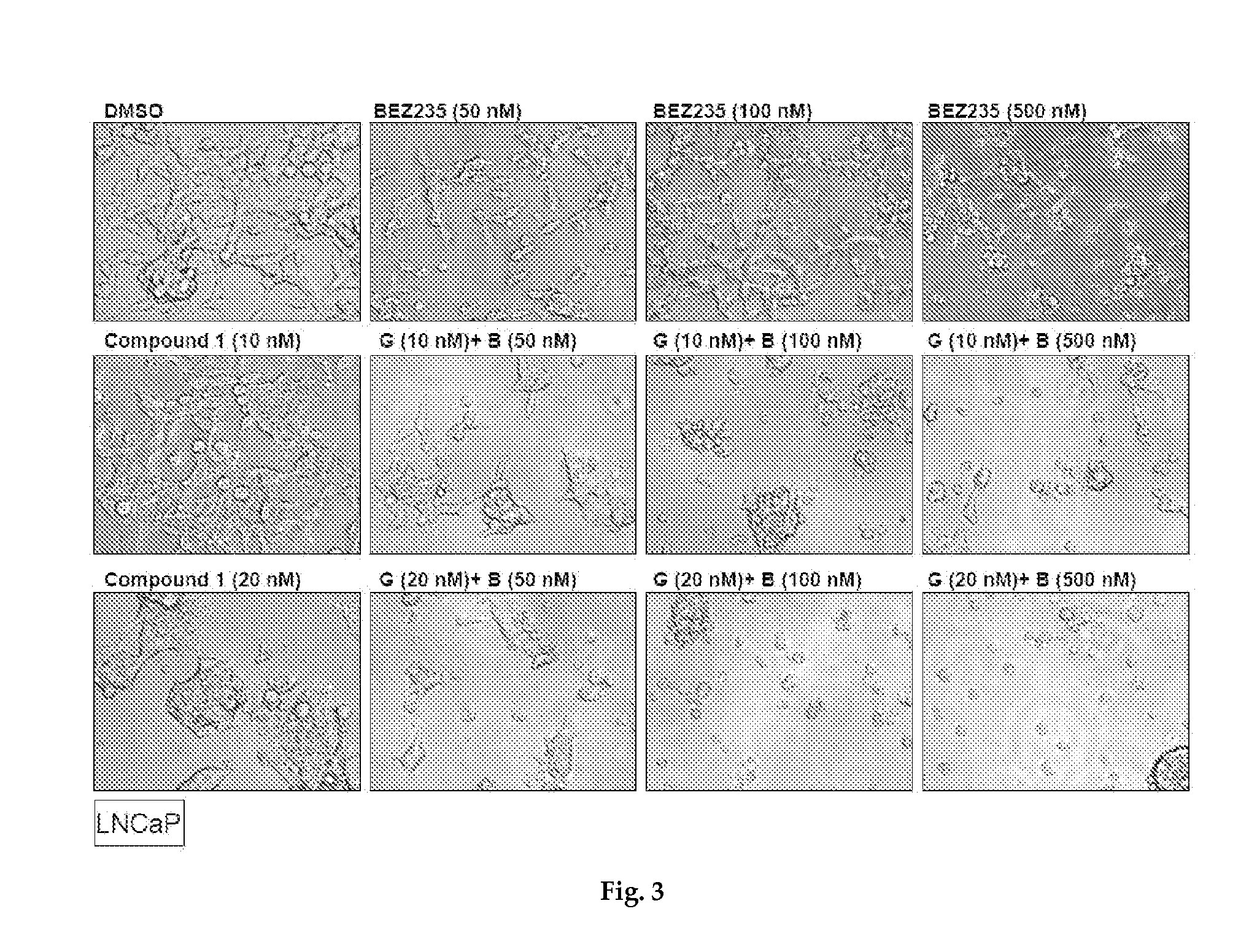 Combination therapy of hsp90 inhibitory compounds with mtor/p13k inhibitors