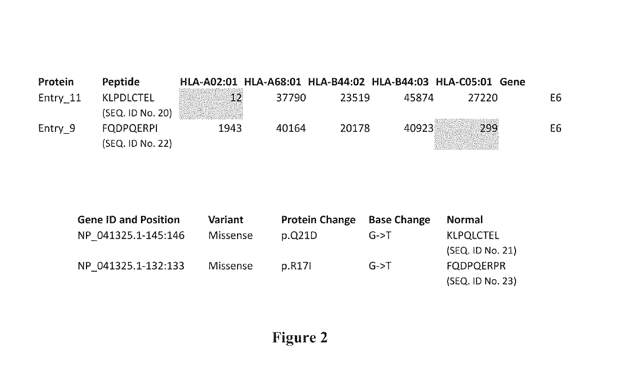 Viral neoepitopes and uses thereof