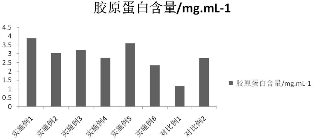 High-molecular extract in umbilical cord mesenchymal stem cells, application and detection method