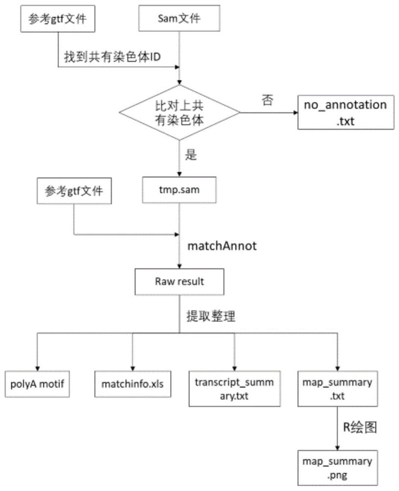 Method for Structural Annotation and Alignment Assessment of Full-Length Transcripts