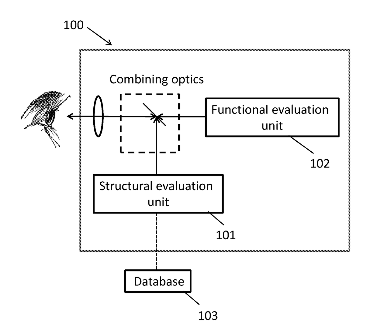 Systems and methods for combined structure and function evaluation of retina