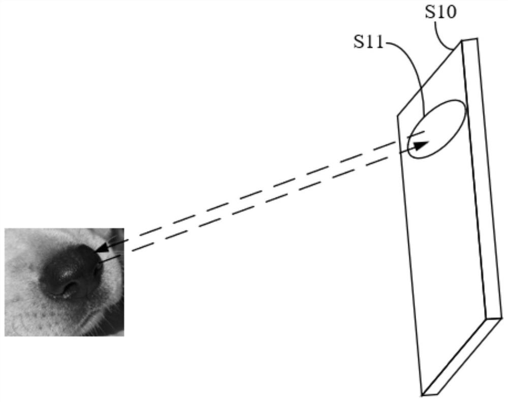 Health prediction method and device, electronic equipment and storage medium