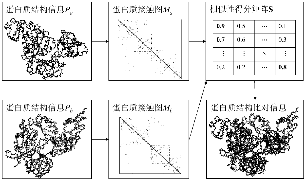 Protein structure comparison method based on contact graph