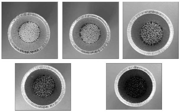 Biodegradable polyester composition and application thereof