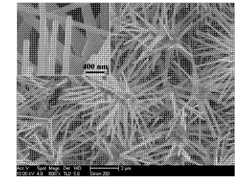 One-dimensional axial type nano zinc oxide / zinc sulfide heterojunction and preparation method thereof